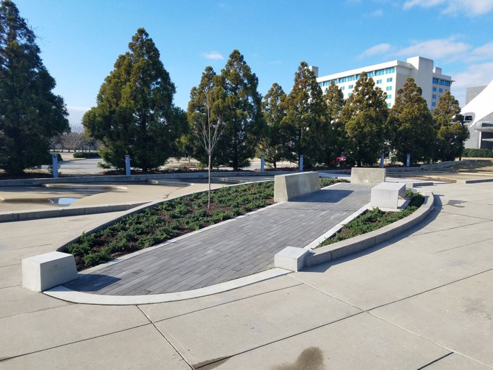 Curved concrete walls, planting and paving within the plaza